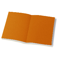 Cartellina Bristol semplice pz.50 arancio Foto